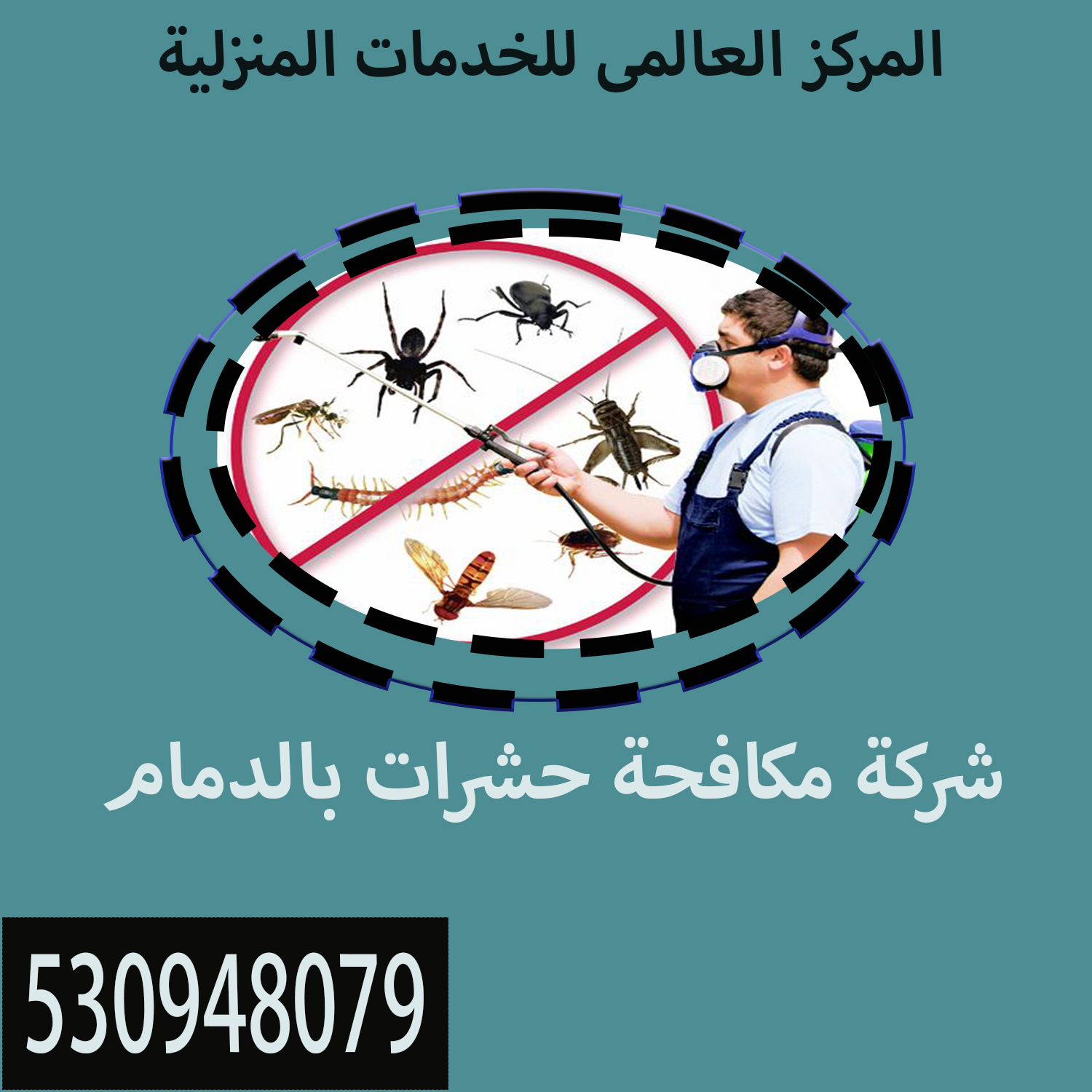 شركة مكافحة حشرات بالدمام